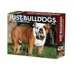 Bulldogs 2025 6.2 X 5.4 Box Calendar