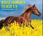 What Horses Teach Us 2025 6.2 X 5.4 Box Calendar
