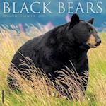 Black Bears 2025 12 X 12 Wall Calendar