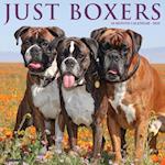 Just Boxers 2025 12 X 12 Wall Calendar