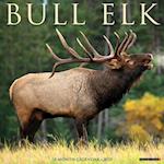 Bull Elk 2025 12 X 12 Wall Calendar