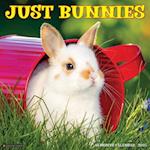 Just Bunnies 2025 12 X 12 Wall Calendar