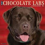 Just Chocolate Labs 2025 12 X 12 Wall Calendar