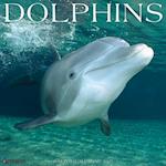 Dolphins 2025 12 X 12 Wall Calendar