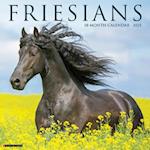 Friesians 2025 12 X 12 Wall Calendar