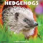 Hedgehogs 2025 12 X 12 Wall Calendar