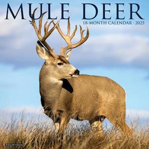 Mule Deer 2025 12 X 12 Wall Calendar