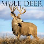 Mule Deer 2025 12 X 12 Wall Calendar