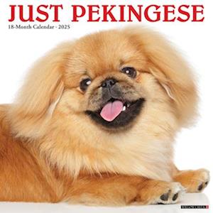 Just Pekingese 2025 12 X 12 Wall Calendar