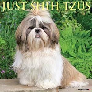 Just Shih Tzus 2025 12 X 12 Wall Calendar