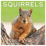 Squirrels 2025 12 X 12 Wall Calendar