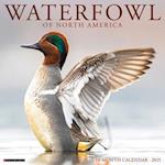 Waterfowl 2025 12 X 12 Wall Calendar