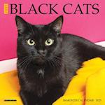 Just Black Cats 2025 7 X 7 Mini Wall Calendar