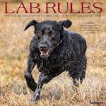 Lab Rules 2025 12 X 12 Wall Calendar