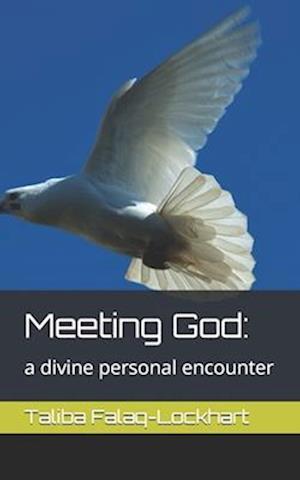 Meeting God:: a divine personal encounter