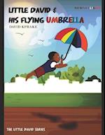 Little David and his flying umbrella