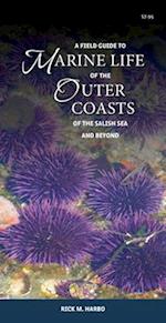A Field Guide to Marine Life of the Outer Coasts of the Salish Sea and Beyond