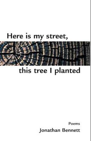 Here Is My Street, This Tree I Planted