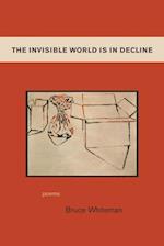 The Invisible World Is in Decline