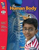 Human Body