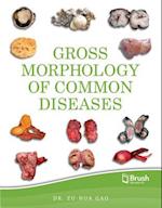Gross Morphology of Common Diseases