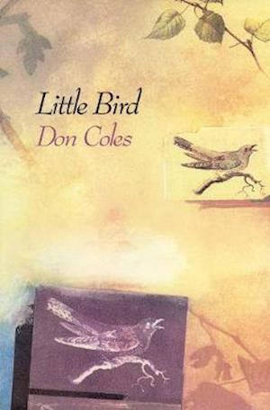 Coles, D: Little Bird