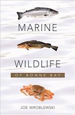 Marine Wildlife of Bonne