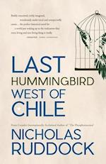 Last Hummingbird West of Chile
