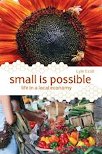 Small is Possible