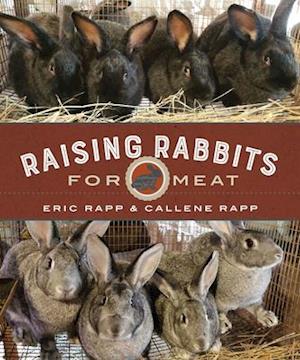 Raising Rabbits for Meat