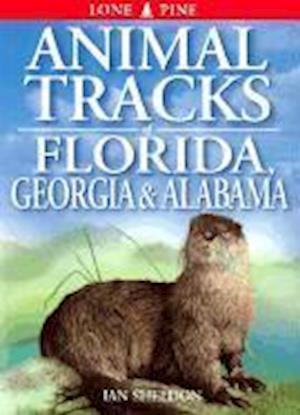 Animal Tracks of Florida, Georgia, Alabama