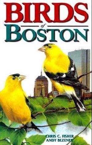Birds of Boston
