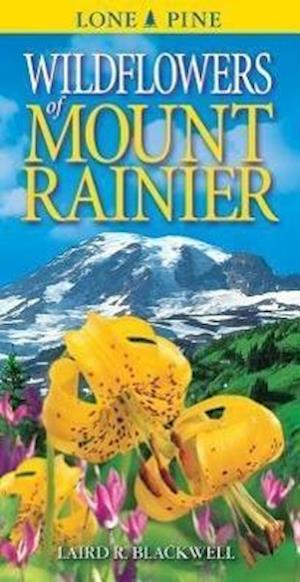 Wildflowers of Mount Rainer