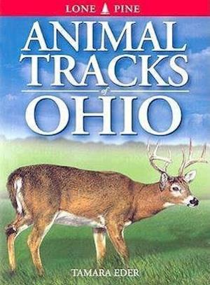 Eder, T: Animal Tracks of Ohio