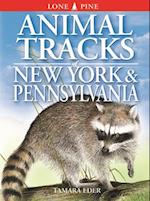 Animal Tracks of New York & Pennsylvania