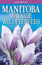 Manitoba Wayside Wildflowers