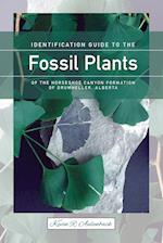 Identification Guide to the Fossil Plants of the Horseshoe Canyon Formation of Drumheller, Alberta (New)