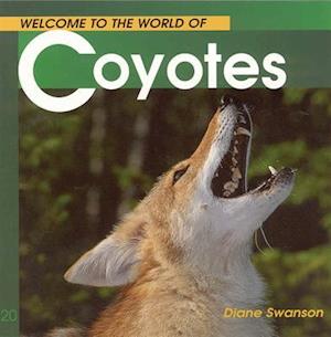 Welcome to the World of Coyotes