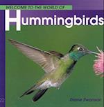 Welcome to the World of Hummingbirds