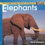 Welcome to the World of Elephants