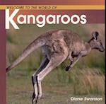 Welcome to the World of Kangaroos