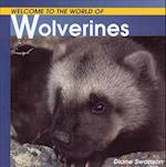 Welcome to the World of Wolverines