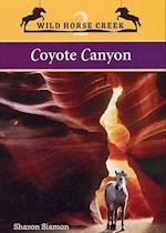 Coyote Canyon