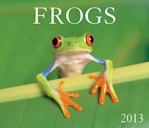 Frogs 2013 Calendar