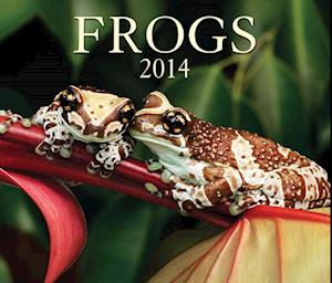 Frogs 2014 Calendar