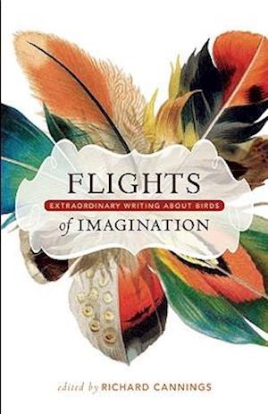 Flights of Imagination