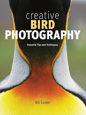 Creative Bird Photography