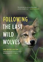 Following the Last Wild Wolves