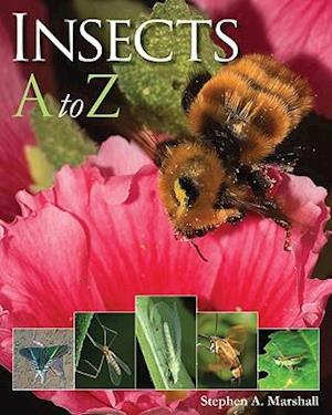 Insects A to Z