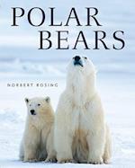 Polar Bears